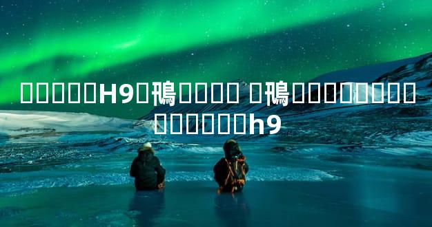 �����H9�鳵���� �鳵���޸��˳�������h9